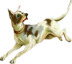 a running hound